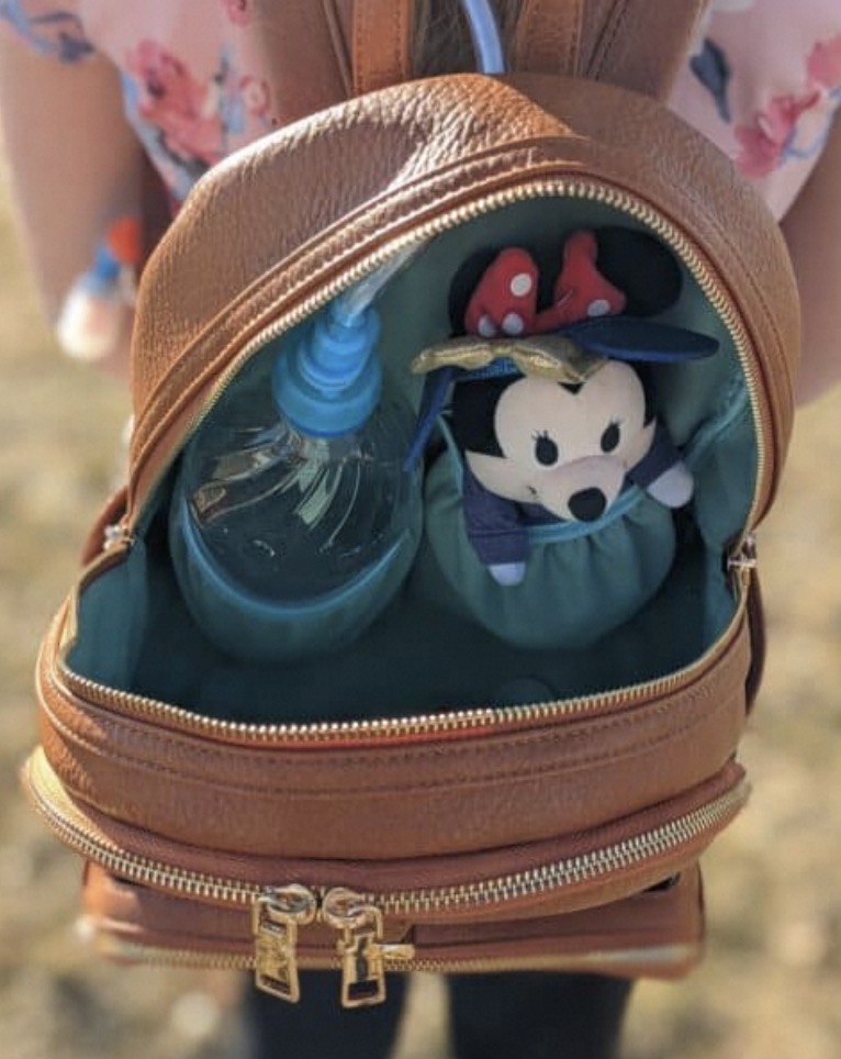 Can I Bring a Backpack into Disneyland? Insider Tips Revealed!插图4